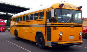 The yellow school bus is an easily recognisable part of American culture and yellow paint derived from chromium ore was originally used to paint these buses.