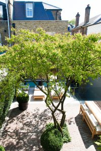 Tub Planters in Double Stone Steel PVD colored stainless steel Gunmetal Sandblasted are co-ordinated with this residential property development’s gates and railings