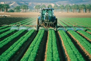 A farmer spraying fertilizer on his crops. The global, large-scale use of synthetic nitrogen fertilizers over the past century has completely transformed crop yields.